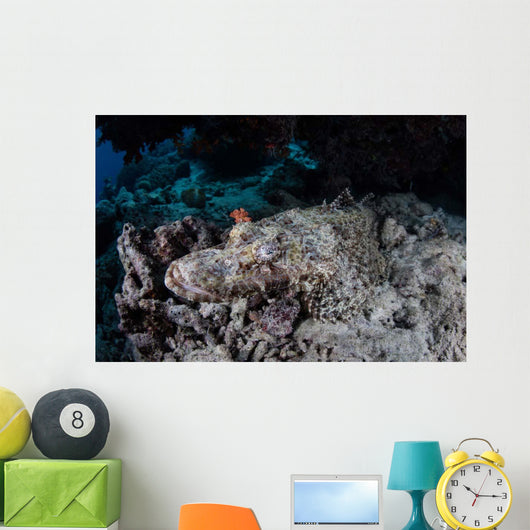 Large Crocodilefish Lies Wait Wall Decal Design 1