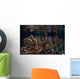 Soft Corals Grow Raja Wall Decal