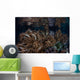 Soft Corals Grow Raja Wall Decal