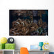 Soft Corals Grow Raja Wall Decal