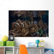 Soft Corals Grow Raja Wall Decal