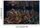 Soft Corals Grow Raja Wall Decal