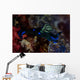 Gloomy Nudibranch Tambja Morosa Wall Decal