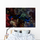 Gloomy Nudibranch Tambja Morosa Wall Decal