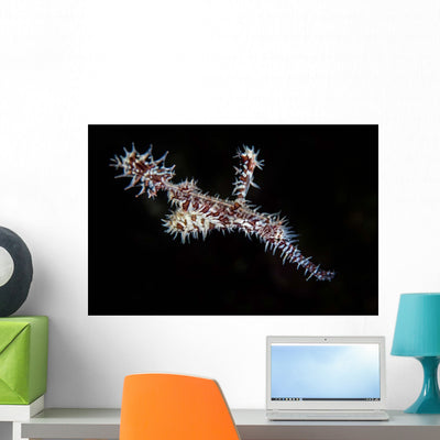 Rrnate Ghost Pipefish Solenostomus Wall Decal Design 2 shown on a wall