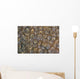 Acoel Flatworms Cover Coral Wall Decal Design 2
