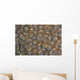 Acoel Flatworms Cover Coral Wall Decal Design 2