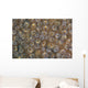 Acoel Flatworms Cover Coral Wall Decal Design 2