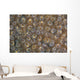 Acoel Flatworms Cover Coral Wall Decal Design 2