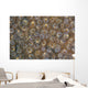 Acoel Flatworms Cover Coral Wall Decal Design 2