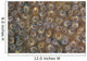 Acoel Flatworms Cover Coral Wall Decal Design 2