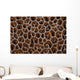 Detail Coral Colony Raja Wall Decal