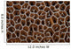 Detail Coral Colony Raja Wall Decal