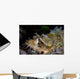 Papuan Scorpionfish Lies Reef Wall Decal Design 2
