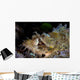 Papuan Scorpionfish Lies Reef Wall Decal Design 2