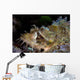 Papuan Scorpionfish Lies Reef Wall Decal Design 2