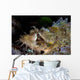 Papuan Scorpionfish Lies Reef Wall Decal Design 2