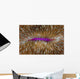 Detail Mushroom Coral Fungi Wall Decal Design 1