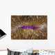 Detail Mushroom Coral Fungi Wall Decal Design 1