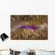 Detail Mushroom Coral Fungi Wall Decal Design 1