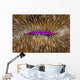 Detail Mushroom Coral Fungi Wall Decal Design 1