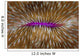 Detail Mushroom Coral Fungi Wall Decal Design 1