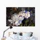 Several Risbecia Tryoni Nudibranch Wall Decal