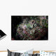 Well-camouflaged Devil Scorpionfish Wall Decal Design 2