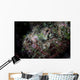 Well-camouflaged Devil Scorpionfish Wall Decal Design 2