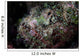 Well-camouflaged Devil Scorpionfish Wall Decal Design 2