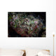 Well-camouflaged Devil Scorpionfish Wall Decal Design 1