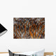 Detail Sharp Spines Covering Wall Decal