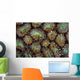 Acoel Flatworms Cover Coral Wall Decal Design 1