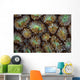 Acoel Flatworms Cover Coral Wall Decal Design 1