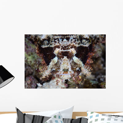 Papuan Scorpionfish Lies Reef Wall Decal Design 1 shown on a wall