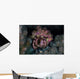 Hermit Crab Crawls across Wall Decal