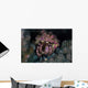 Hermit Crab Crawls across Wall Decal