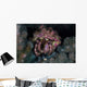 Hermit Crab Crawls across Wall Decal