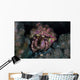 Hermit Crab Crawls across Wall Decal