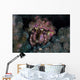 Hermit Crab Crawls across Wall Decal