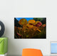 Colorful Lily Pads Grow Wall Decal Design 3