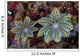 Detail Soft Coral Polyps Wall Decal Design 2