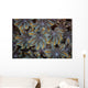 Detail Soft Coral Polyps Wall Decal Design 1