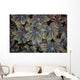 Detail Soft Coral Polyps Wall Decal Design 1