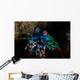 Colorful Peacock Mantis Shrimp Wall Decal