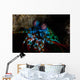 Colorful Peacock Mantis Shrimp Wall Decal