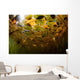 Sunlight Shines down Lily Wall Decal Design 3
