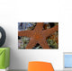 Small Sea Star Clings Wall Decal