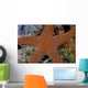 Small Sea Star Clings Wall Decal