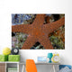 Small Sea Star Clings Wall Decal